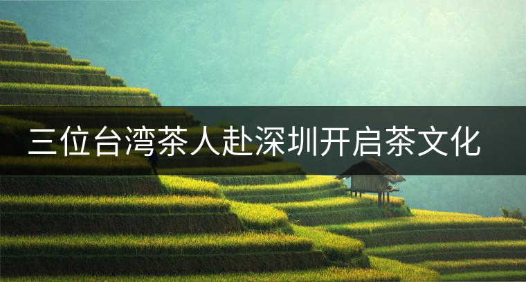 三位臺(tái)灣茶人赴深圳開(kāi)啟茶文化盛宴 三位臺(tái)灣茶人赴深圳開(kāi)啟茶文化盛宴