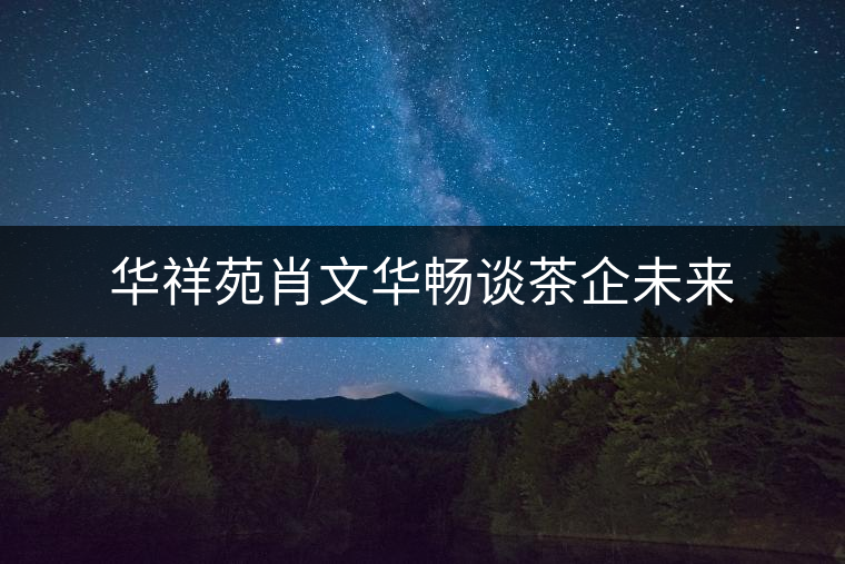 華祥苑肖文華暢談茶企未來