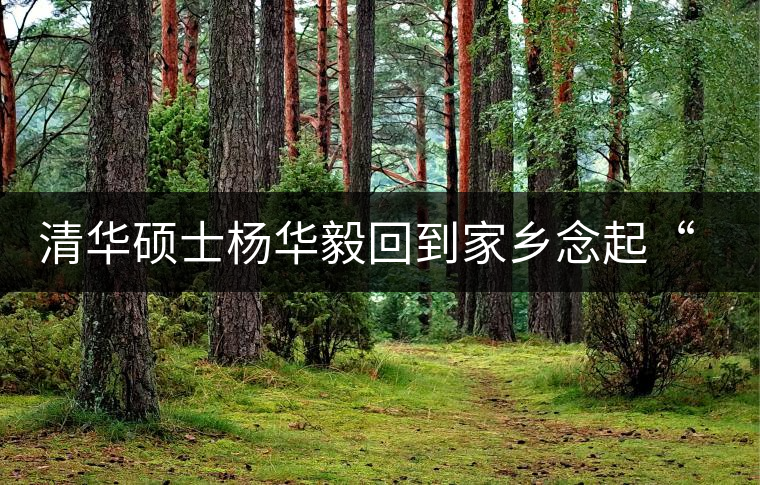 清華碩士楊華毅回到家鄉(xiāng)念起“羊屎茶葉”經(jīng) 清華碩士楊華毅回到家鄉(xiāng)念起“羊屎茶葉”經(jīng)