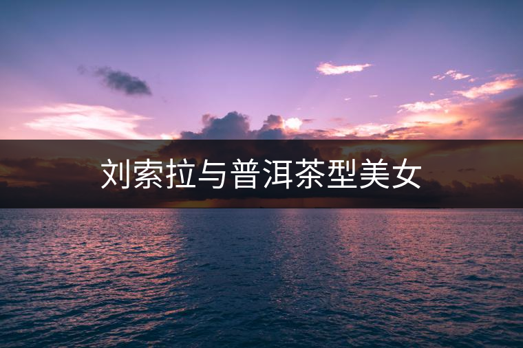 劉索拉與普洱茶型美女 劉索拉與普洱茶型美女