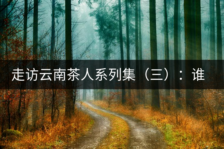 走訪云南茶人系列集（三）：誰說普洱不產(chǎn)茶？——張順高
