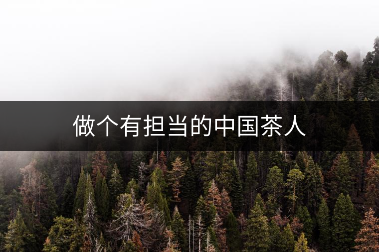 做個有擔當?shù)闹袊枞? alt=