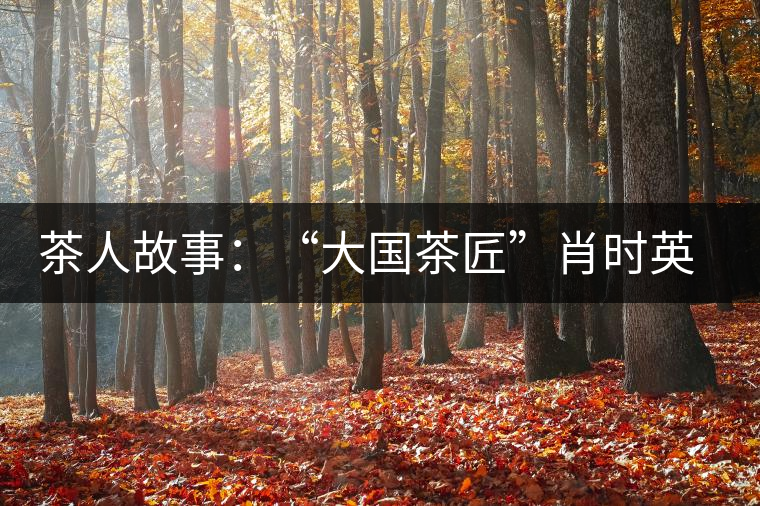 茶人故事:“大國茶匠”肖時英與普洱茶的故事 茶人故事:“大國茶匠”肖時英與普洱茶的故事