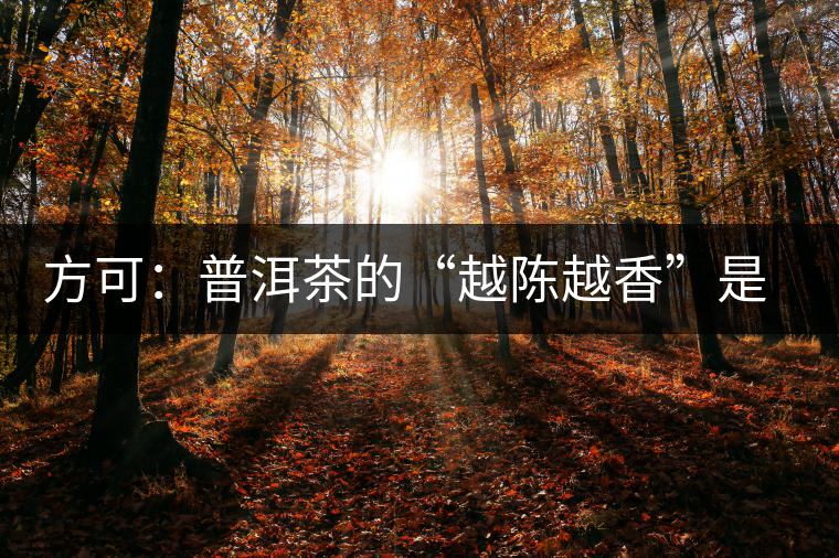 方可：普洱茶的“越陳越香”是有條件、有技術的