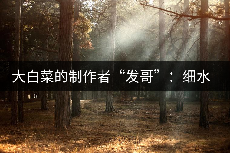 大白菜的制作者“發(fā)哥”：細(xì)水長流，做茶“急不得”