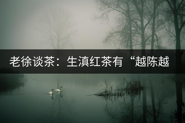 老徐談茶：生滇紅茶有“越陳越香”的特點嗎？