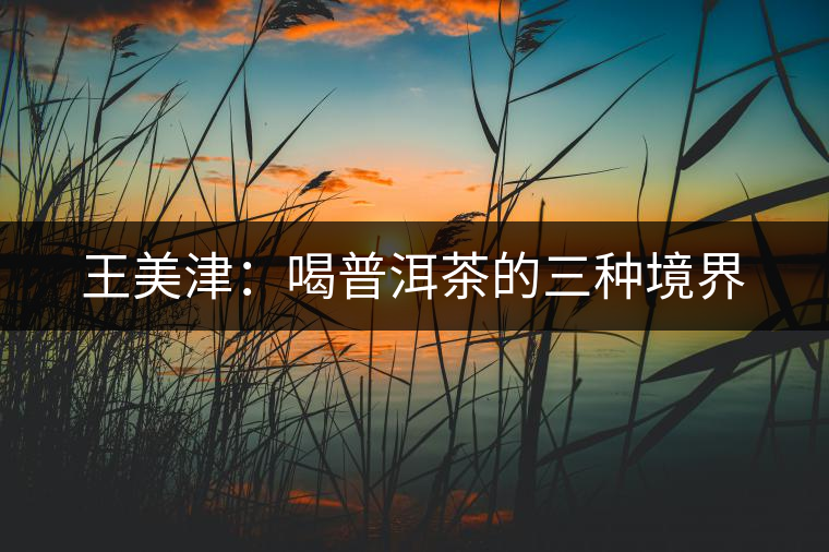 王美津:喝普洱茶的三種境界 王美津:喝普洱茶的三種境界