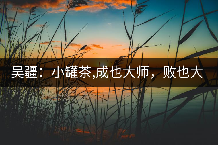 吳疆：小罐茶,成也大師，敗也大師