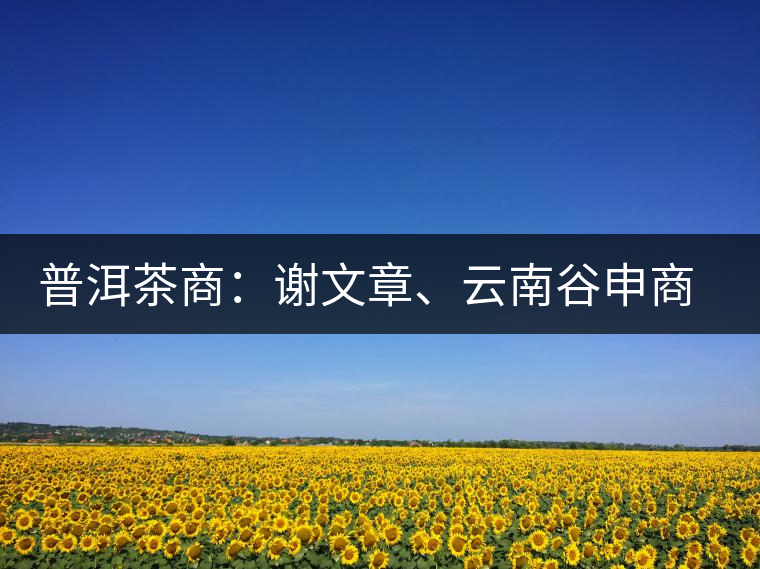 普洱茶商：謝文章、云南谷申商貿(mào)有限公司總經(jīng)理
