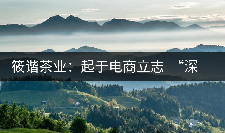 筱諧茶業(yè):起于電商立志 “深扎”于茶行業(yè) 筱諧茶業(yè):起于電商立志 “深扎”于茶行業(yè)
