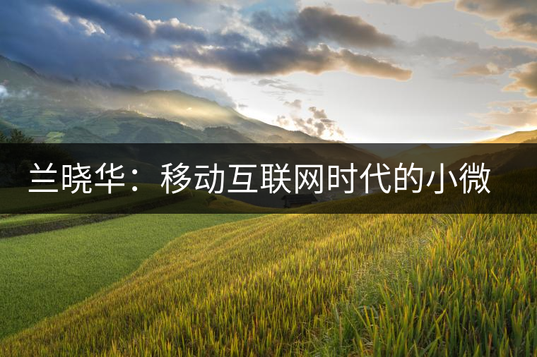 蘭曉華:移動互聯(lián)網(wǎng)時代的小微企業(yè)創(chuàng)新活力 蘭曉華:移動互聯(lián)網(wǎng)時代的小微企業(yè)創(chuàng)新活力