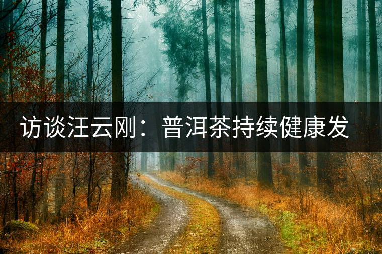 訪談汪云剛：普洱茶持續(xù)健康發(fā)展之路