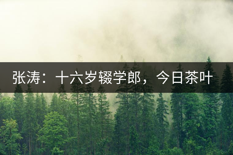 張濤：十六歲輟學(xué)郎，今日茶葉中堅(jiān)