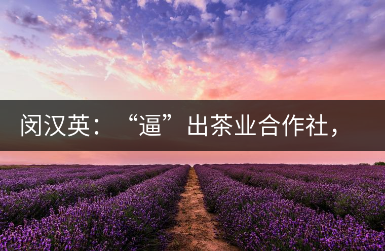 閔漢英：“逼”出茶業(yè)合作社，帶領村民走上致富路