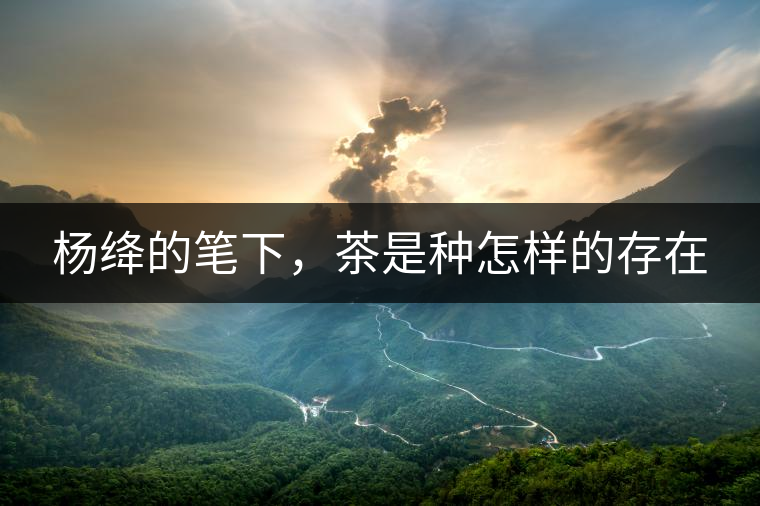 楊絳的筆下，茶是種怎樣的存在