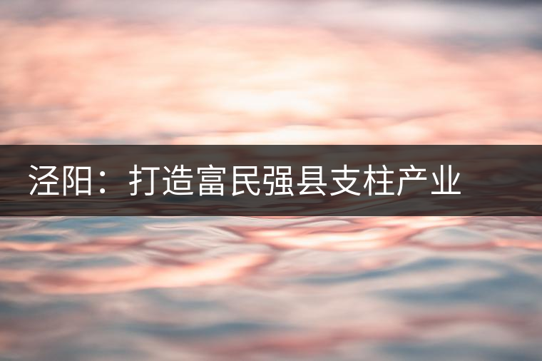 涇陽:打造富民強縣支柱產(chǎn)業(yè) ——訪陜西省涇陽縣副縣長謝保衛(wèi) 涇陽:打造富民強縣支柱產(chǎn)業(yè) ——訪陜西省涇陽縣副縣長謝保衛(wèi)