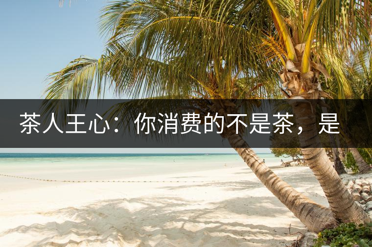 茶人王心：你消費(fèi)的不是茶，是我
