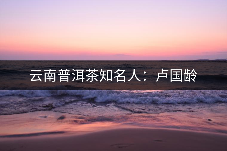 云南普洱茶知名人:盧國(guó)齡 云南普洱茶知名人:盧國(guó)齡