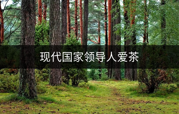 現(xiàn)代國家領(lǐng)導(dǎo)人愛茶