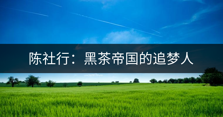陳社行:黑茶帝國(guó)的追夢(mèng)人 陳社行:黑茶帝國(guó)的追夢(mèng)人