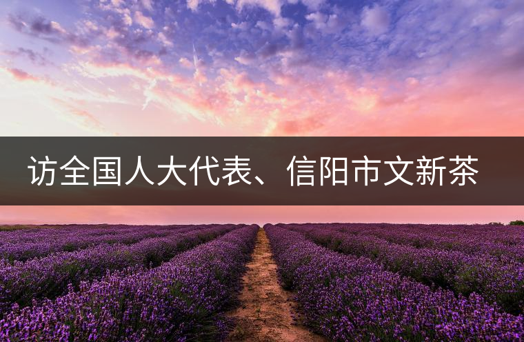 訪全國人大代表、信陽市文新茶葉有限責(zé)任公司董事長劉文新