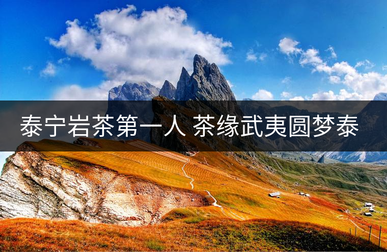 泰寧巖茶第一人 茶緣武夷圓夢(mèng)泰寧 泰寧巖茶第一人 茶緣武夷圓夢(mèng)泰寧