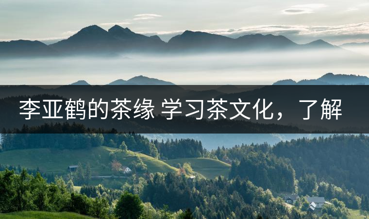 李亞鶴的茶緣 學(xué)習(xí)茶文化，了解茶文化，品味茶文化