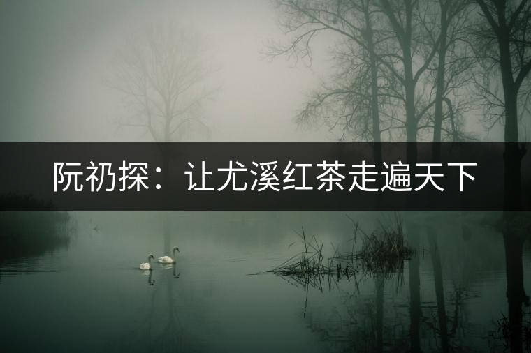 阮礽探:讓尤溪紅茶走遍天下 阮礽探:讓尤溪紅茶走遍天下