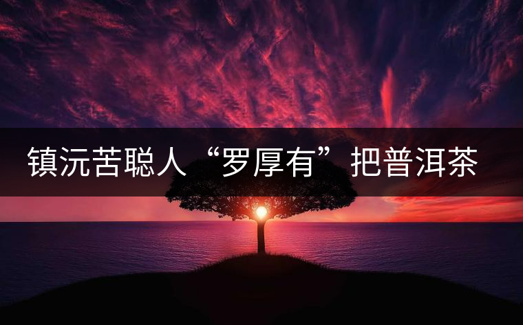 鎮(zhèn)沅苦聰人“羅厚有”把普洱茶生意做到大城市 鎮(zhèn)沅苦聰人“羅厚有”把普洱茶生意做到大城市