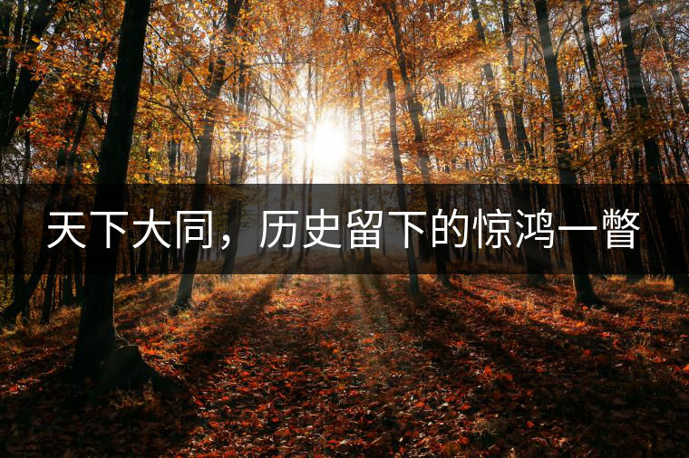 天下大同，歷史留下的驚鴻一瞥