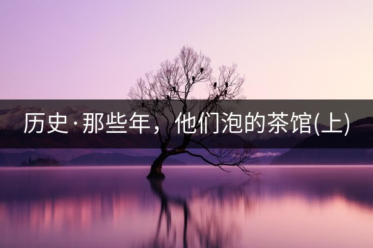 歷史·那些年，他們泡的茶館(上)