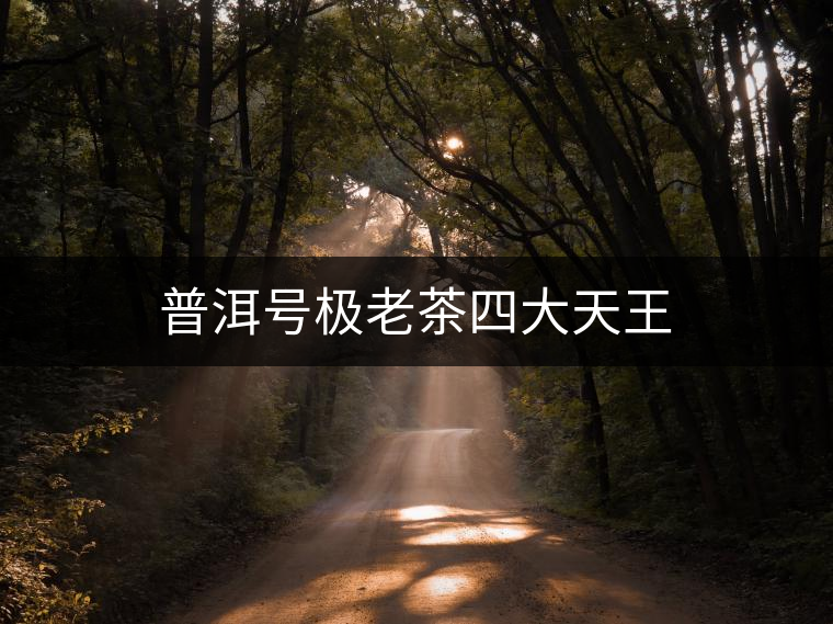 普洱號(hào)極老茶四大天王