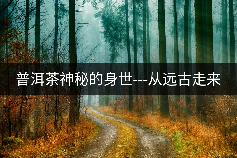 普洱茶神秘的身世---從遠(yuǎn)古走來(lái) 普洱茶神秘的身世---從遠(yuǎn)古走來(lái)