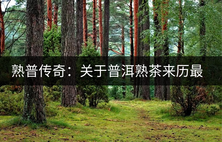 熟普傳奇:關(guān)于普洱熟茶來歷最詳細(xì)的編年史 熟普傳奇:關(guān)于普洱熟茶來歷最詳細(xì)的編年史