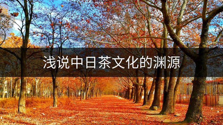 淺說(shuō)中日茶文化的淵源 淺說(shuō)中日茶文化的淵源