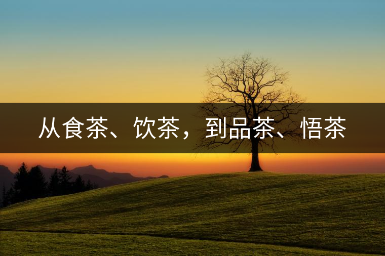 從食茶、飲茶，到品茶、悟茶