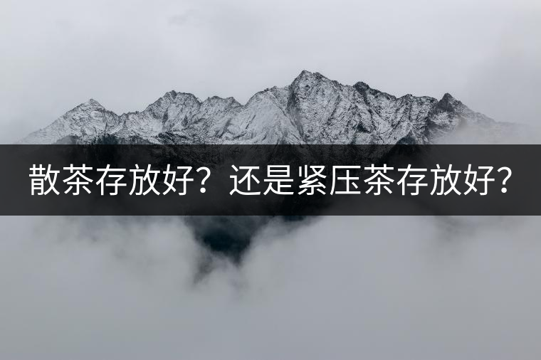 散茶存放好？還是緊壓茶存放好？
