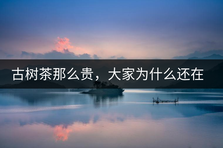 古樹(shù)茶那么貴，大家為什么還在瘋狂追求？