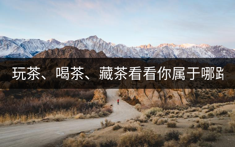 玩茶、喝茶、藏茶看看你屬于哪路茶神！