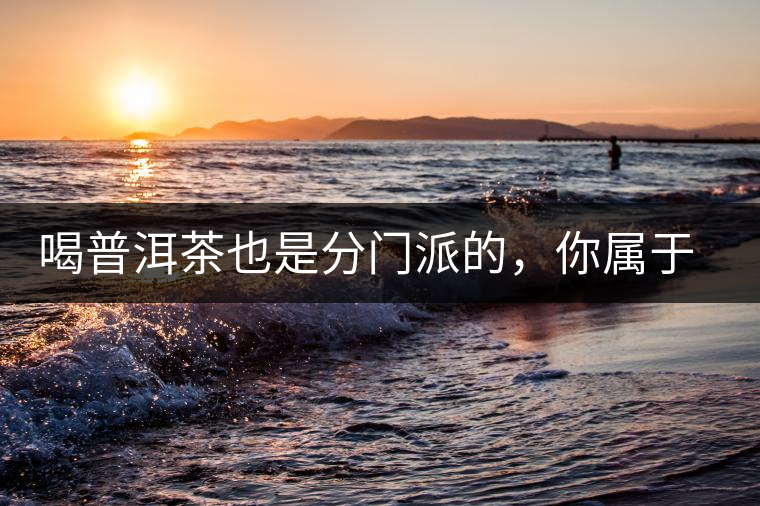 喝普洱茶也是分門派的，你屬于哪派呢？