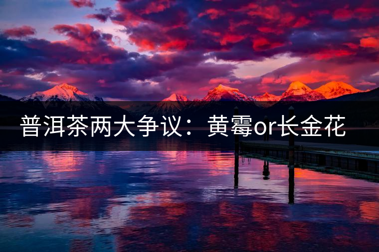 普洱茶兩大爭議：黃霉or長金花，生蟲or蟲屎茶