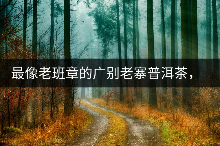 最像老班章的廣別老寨普洱茶，卻是冰島派來的臥底