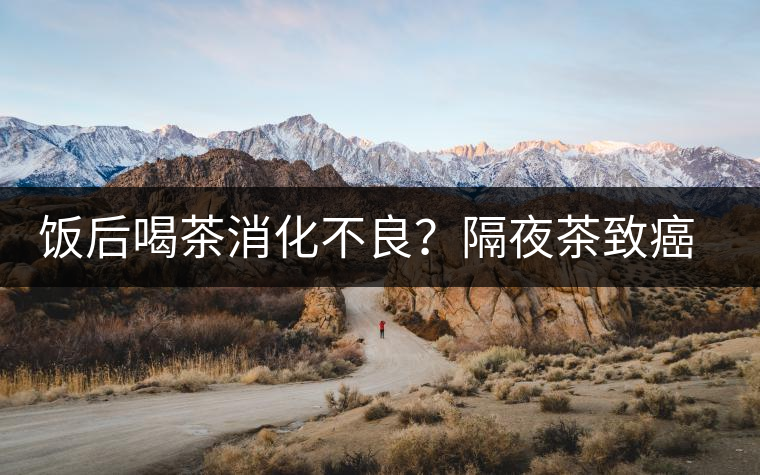 飯后喝茶消化不良？隔夜茶致癌？9個喝茶流言你該好好分個真假