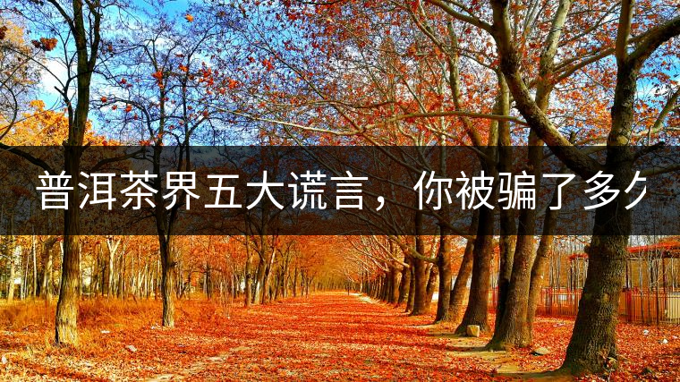 普洱茶界五大謊言，你被騙了多久？