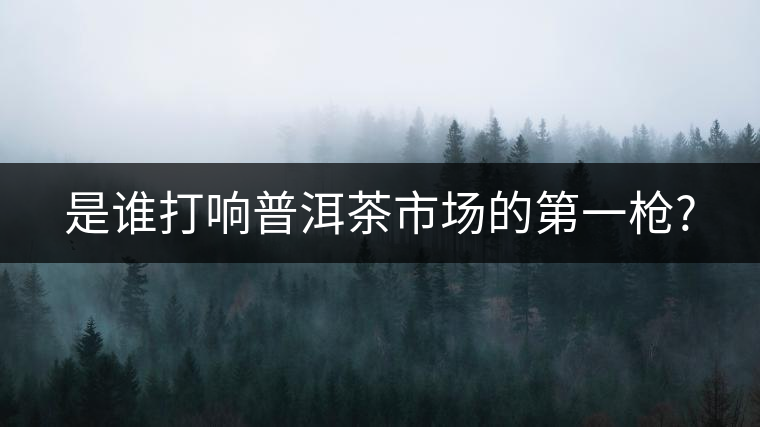 是誰(shuí)打響普洱茶市場(chǎng)的第一槍? 是誰(shuí)打響普洱茶市場(chǎng)的第一槍?
