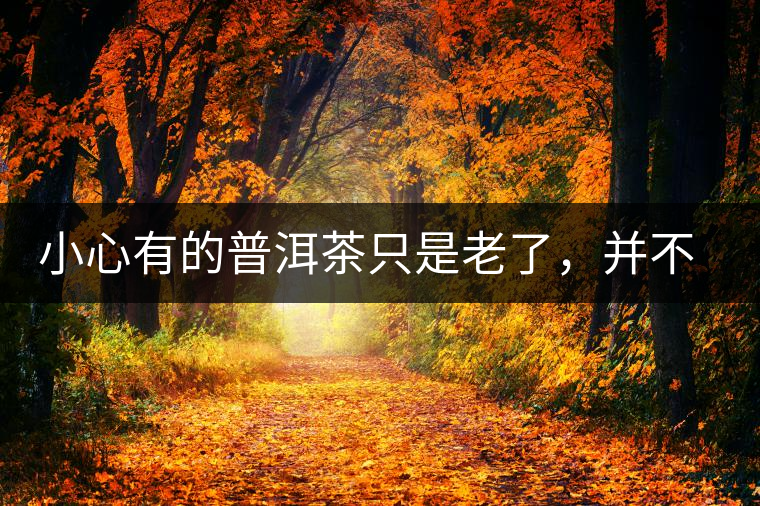 小心有的普洱茶只是老了，并不是好了