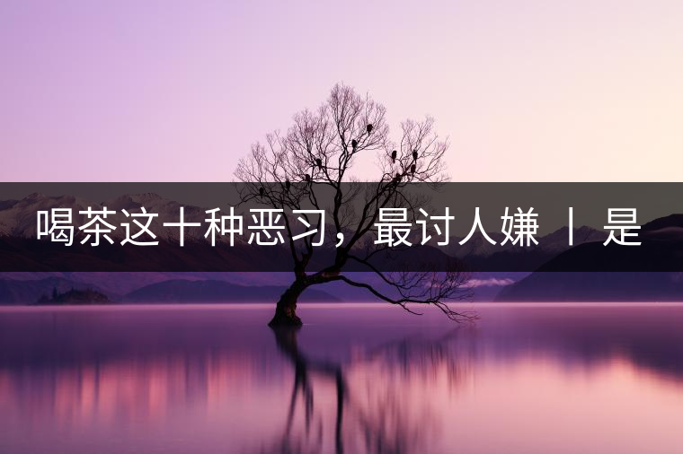 喝茶這十種惡習，最討人嫌 丨 是否同感？