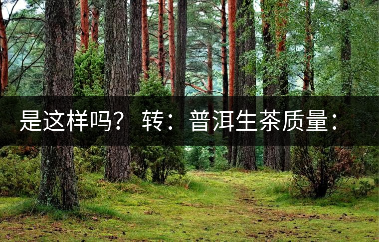 是這樣嗎？ 轉：普洱生茶質量：大廠和小廠沒有區(qū)別