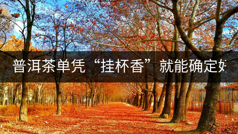 普洱茶單憑“掛杯香”就能確定好壞？you錯了！