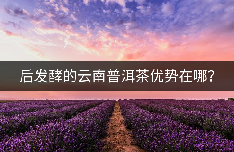 后發(fā)酵的云南普洱茶優(yōu)勢(shì)在哪？